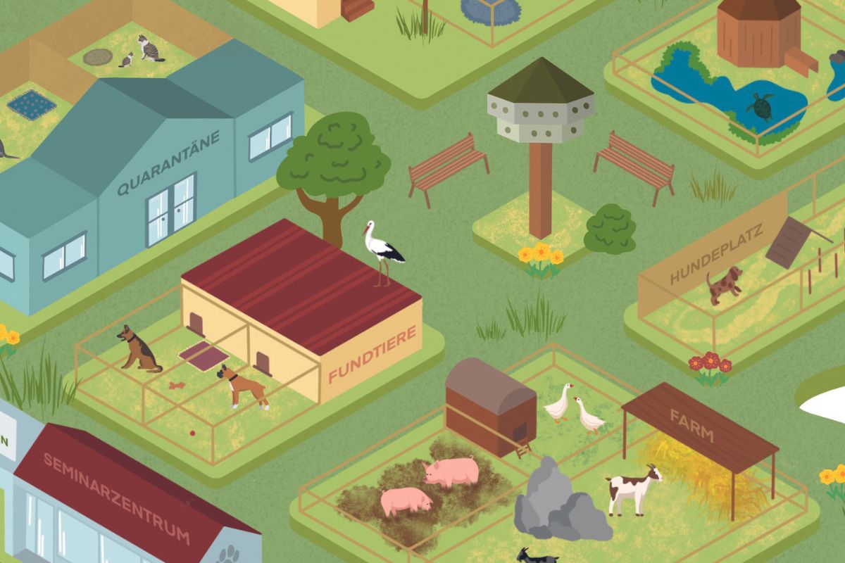 Überblick über ein digital gezeichnet Bild des Tierschutzzentrums. Man sieht Hunde, Ziegen, katzen und Schweine in artgerechten Behausungen.