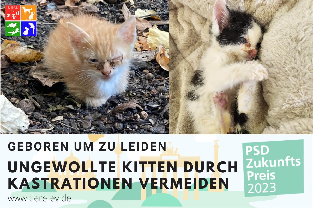 PSD Zukunftspreis - T.I.E.R.E.e.V.